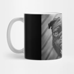 Little Black Pug Dog Mug